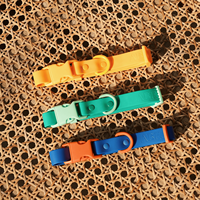 Collier et laisse en PVC imperméables et anti-odeur, harnais réglable en caoutchouc et silicone pour chien, vente en gros du fabricant