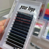 Vente chaude De Luxe Noir Premium 3dw 5dw Extension De Cils Fournitures Naturel Professionnel En Gros Vison Coréen Cils En Soie
