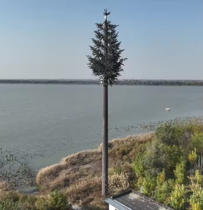 <span class=keywords><strong>Torre</strong></span> de Telecomunicaciones de Acero Artificial Tipo Árbol Biónico, <span class=keywords><strong>Torre</strong></span> de Señal Monopolar, Accesorios de Comunicación, Torres de Telecomunicaciones Palm - Product Image 4