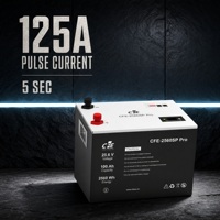 Batterie au lithium à décharge profonde 25,6 V 100 Ah CFE-2560SP Pro avec conception à insertion directe et équilibrage actif pour yachts et systèmes solaires
