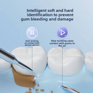 Brosse à dents électrique rechargeable par USB Dispositif de soins dentaires populaire <span class=keywords><strong>Tiktok</strong></span> Fonction étanche souple IPX7 Élimine les taches de tartre pour - Product Image 4