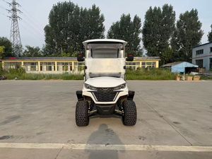 Carrito de Golf Eléctrico de 72V con Batería de Litio, 2 Plazas, 5kw, Color Personalizado, Espacio de Carga Adicional, Certificado por el DOT, Todoterreno, EE. UU. - Product Image 1