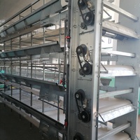 Cage à volailles personnalisable, cage à batterie de type H pour poulets de chair, à prix avantageux