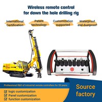 Télécommande professionnelle personnalisée IP68 étanche à 7 joysticks pour grue hydraulique, 12V 24V, portée de 5 km, réponse de 20 ms