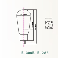 Tabung Vakum LINLAI Elite E-2A3 Kualitas Terbaik untuk KIT Amplifier Tabung