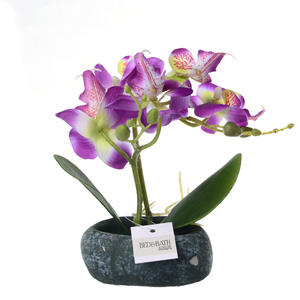 Mini fleur d'orchidée de Phalaenopsis, décoration de jardin, plantes décoratives en pot pour la maison et le mariage - Product Image 5