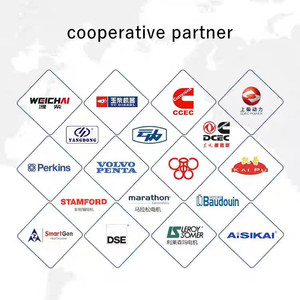 Cho kumins 800 kW 1000 KVA mở khung Máy phát điện Leroy somer alternator 50 Hz Powered động cơ diesel KTA38-G2A cho các nhà máy điện - Product Image 6