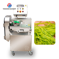 Máquina Industrial Cortadora de Vegetales, Picadora de Hojas de Col, Espinaca y Cebolla, 800KG/H, Planta de Procesamiento de Alimentos, Fábrica OEM