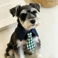 Collier Faux Nœud Papillon Personnalisé Écologique en Coton-Polyester à Carreaux Bleus et Blancs pour Petits Chiens – Vente en Gros