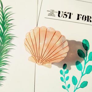 Vente en gros de petites pinces à cheveux en forme de coquillage coréennes mignonnes pour filles, pince à cheveux en acétate avec ligne dorée - Product Image 3