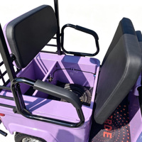 Voiturette de golf électrique Holladay 4 places 2000W pour parcs, stations balnéaires, communautés et sites touristiques, avec auvent, quadricycle électrique