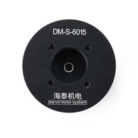Moteur servo DC compact DM-S-6015 pour drone, cardan avec encodeur magnétique à valeur absolue à bobine unique, pilote FOC, RS485 et CAN