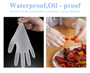 Food Service Disposable Vinyl Gloves 24CM Silicone-Free Powder-Free Non Sterile Clear Smooth Texture Customizable - Product Image 4