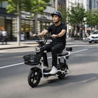 Vélo électrique Paige en vente directe d'usine, fabriqué en Chine, vélo électrique de stockage, trottinettes électriques, vélo de ville pour adulte, pédicab électrique