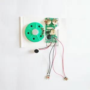 Modul Suara Rekaman pabrik chip 30s digunakan dalam kartu ucapan musik pra-rekam