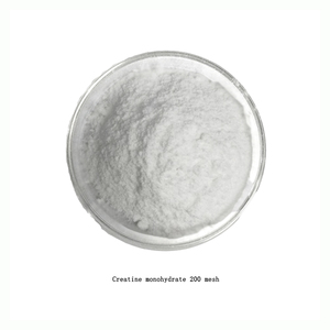 Créatine monohydrate BFSW en poudre, qualité alimentaire, 99 %, nutrition sportive, dose de 20 g/jour, durée de conservation de 24 mois, fourni par l'usine à prix compétitif - Product Image 6