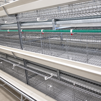 Ensemble complet de cages à poulettes pour expédition en vrac – Système d'élevage avicole automatique pour projets d'élevage de volailles