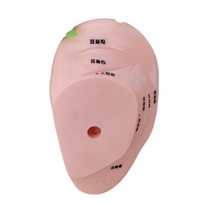 Modelo de oído para acupuntura, modelo de oído, diagrama de puntos de acupuntura para masaje de zonas de reflejo auricular, molde de oído de 13 cm con grabado nítido. - Product Image 4