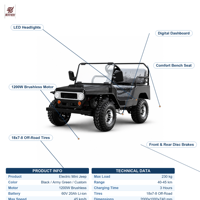 Mini-Jeep SUV électrique ou à essence, équipé d'une batterie lithium-ion, certifié CE, matériau en acier inoxydable d'origine