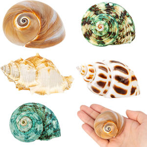 เทียนหอมเปลือกหอยขนาดใหญ่ทำมือจากวัสดุธรรมชาติ สำหรับตกแต่งงานแต่งงาน ตกแต่งบ้านสไตล์ชายทะเล งานฝีมือเปลือกหอย ANGLE - Product Image 1