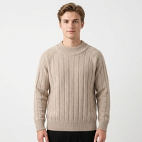 Pulls en cachemire à col rond pour hommes, chauds et luxueux, pour l'automne, anti-rides, respirants, anti-rétrécissement