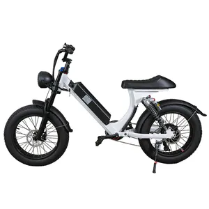 Bicicleta eléctrica con Motor trasero de 1000w, vehículo eléctrico de gran potencia, 20 pulgadas, neumático ancho, suspensión completa, precio de fábrica