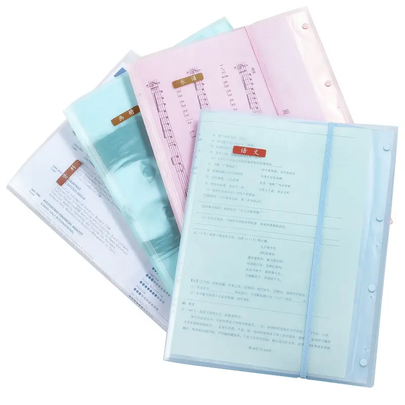 PP Folder Student Test Paper Folder Storage Book Insert Transparent Information Book A3 Picture Album Clip Art Storage Bag