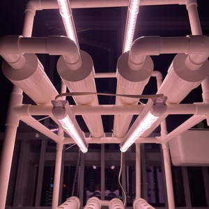 Sistema de Cultivo Vertical Hidropónico Comercial, Soporte Hidropónico para Cultivo de Tomates, Pimientos, Microvegetales y Otros Vegetales - Product Image 6