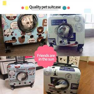 फैक्टरी थोक सबसे अच्छा पालतू कुत्ता घुमक्कड़/पालतू साइकिल ट्रेलर सप्ताहांत के लिए पीसी ABS Carrito Perro बिल्ली घुमक्कड़ बाहर टहलना टहलने - Product Image 5