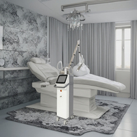 Machine laser fractionnée CO2 Frax à double mode 10600 nm pour le rajeunissement de la peau du visage, le traitement de l'acné, l'élimination des pigments et le raffermissement cutané