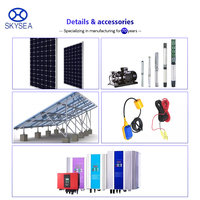 Pompe submersible solaire pour puits profond en acier inoxydable haute efficacité DC pour l'irrigation agricole et l'abreuvement du bétail