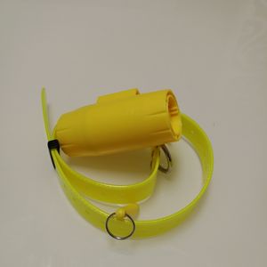 Collar de adiestramiento para perros, accesorio impermeable para entrenamiento canino, ideal para caza, D300, novedad de <span class=keywords><strong>2022</strong></span> - Product Image 5