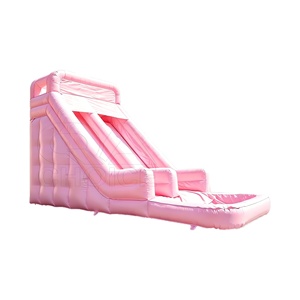Toboggan aquatique gonflable rose pastel à double voie avec <span class=keywords><strong>piscine</strong></span>, en PVC 0,55 mm, idéal pour la <span class=keywords><strong>location</strong></span> de fêtes de mariage et l'usage domestique - Product Image 3