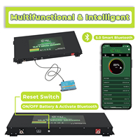 Batería Inteligente para RV Ultra Delgada de 60 mm, 12 V, 230 Ah, LiFePO4, con Aplicación Bluetooth y CANbus