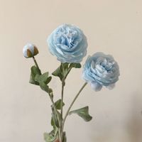 Bunga Ranunculus Sutra Putih Realistis Gaya Eropa Populer, Tangkai Panjang, Berumbai, untuk Dekorasi Rumah, Pernikahan, dan Pengantin