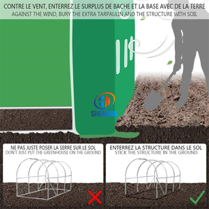 Vendite dirette della fabbrica PE giardino 4x3x2m Tunnel fragola politunnel serra per l'agricoltura - Product Image 4
