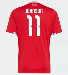 เสื้อฟุตบอลเวลส์สำหรับผู้ใหญ่ ฤดูกาล 2026/27 รุ่นนักเตะ/แฟนบอล พร้อมหมายเลขและตราสโมสร/รองรับการพิมพ์แบบส่วนตัว - Product Image 4