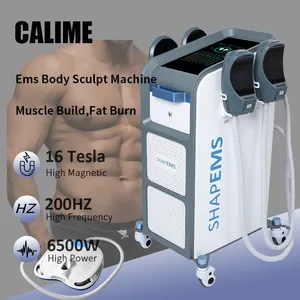 Hotsale 6500W 16 Tesla Fat Burn Weight Loss EMS RF Slim Muscle Stimulator Build Body Shape Fitness Sculpt Emslim Neo Machine