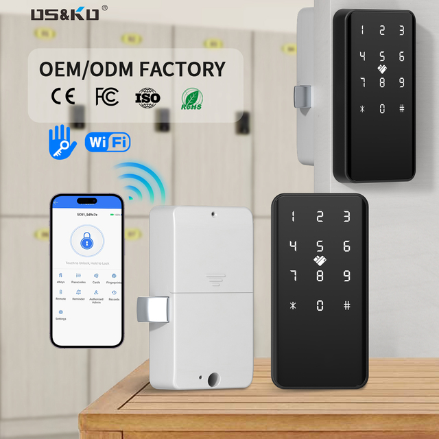 Factory Wholesale Smart Lock Digital Cabinet Keyless Lock Rfid Card Password APP Control for Office Drawer Gym Sauna Locker Lock