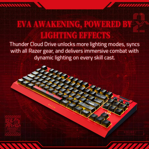 คีย์บอร์ดเกมมิ่งแบบมีสาย Razer EVA Edition BlackWidow V4 Tenkeyless คีย์บอร์ดแบบถอดเปลี่ยนสวิตช์ได้ RGB สำหรับเกมเมอร์พีซี - Product Image 5
