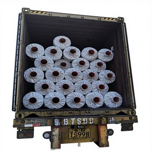 ถุงเก็บพลาสติกโพลีเอทิลีนสีขาวและสีดำสำหรับการเกษตร ถุงเก็บข้าวโพดหมัก ถุงไซโลเก็บเมล็ดพืช - Product Image 1