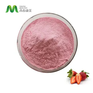 Strawberry Pure Strawberry Powder Flavour Fruit Juice Extract Strawberry Juice Powder For Baking