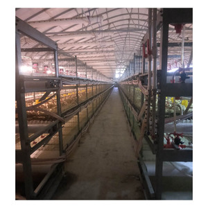 Jaula para transporte de pollos, jaula para transporte de pollos, 3x3 - Product Image 6