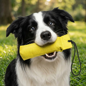 Jouet de mastication et de lancer pour chien, résistant à l'eau et durable, idéal pour l'entraînement à la force de morsure et la dentition – Le plus vendu des fournitures pour animaux de compagnie - Product Image 1