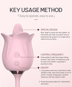 Gül-oyuncak USB Powered kadın yapay penis pervanesi yumurta klitoris enayi stimülatörü dil yalama seks oyuncakları yetişkinler için - Product Image 1