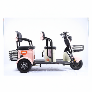 Triciclo Eléctrico para Adultos de Alta Calidad, de Ocio para Personas Mayores, de una Sola Velocidad, 48V 600W, con Marco de Acero de Alto Carbono - Product Image 1