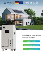 Stokta 51.2V 314Ah 16kWh Yatay Şekilde İstiflenebilir LiFePO4 Pil 314Ah CAN RS485 CE Kompakt Ev İçi Acil Durum Yedek Güç Kaynağı