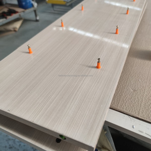 Panel de Nido de Abeja Totalmente de Aluminio, Ignífugo, Aislante Acústico, Panel Central para Puertas, Panel Compuesto para Muebles, Marca <span class=keywords><strong>BEILI</strong></span>, 3 Años de Garantía - Product Image 6