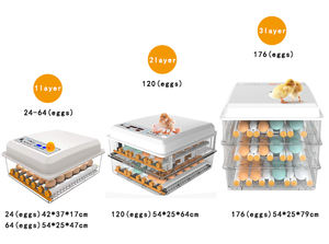 Diskon otomatis 36 buah inkubator telur ayam bebek Turki angsa - Product Image 3