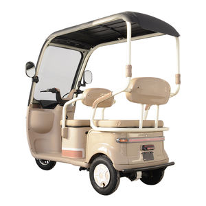 Remorque de transport ouverte en acier personnalisable <span class=keywords><strong>pour</strong></span> trois personnes, abri contre la pluie, <span class=keywords><strong>pour</strong></span> personnes âgées et handicapées, transport urbain, tricycle électrique - Product Image 2